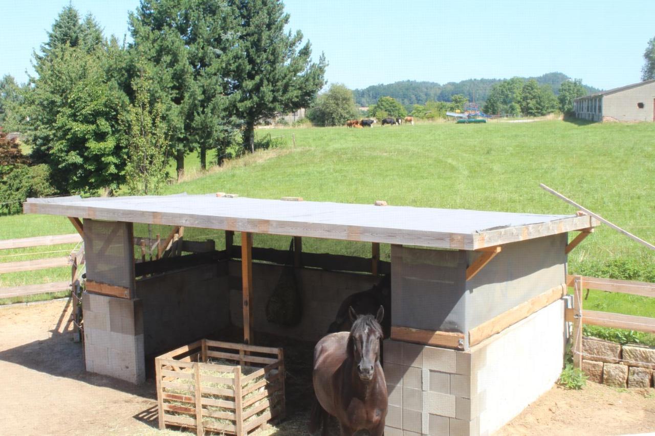 Ferienwohnung Feldblick Struppen Exteriér fotografie